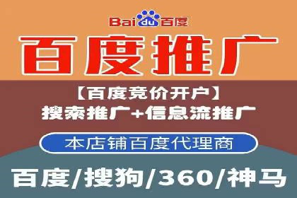 竞价广告的创意与执行：某快消品的营销突破